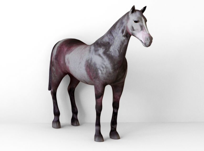 Horses full body Low-poly 3D model_9