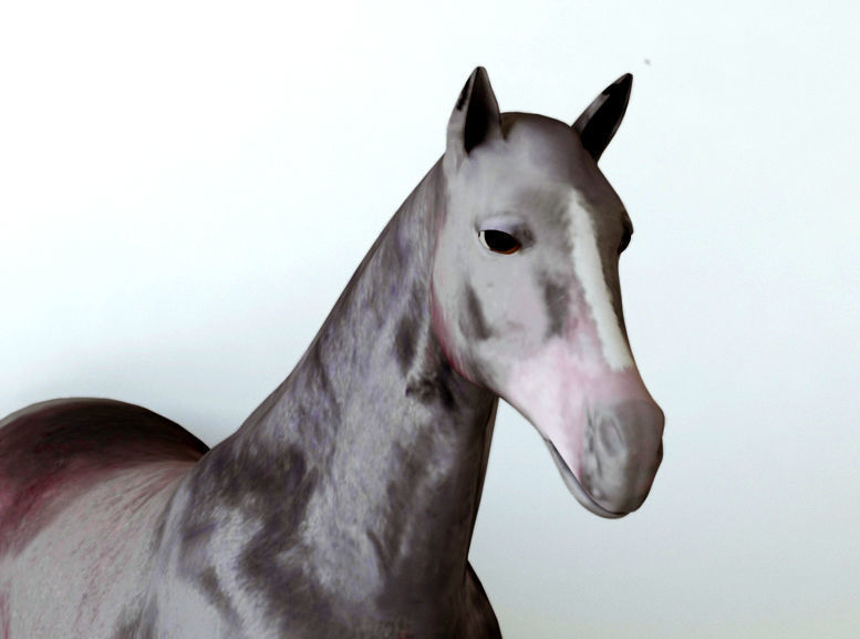 Horses full body Low-poly 3D model_4