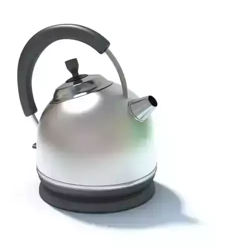 Stainless Steel Tea Kettle