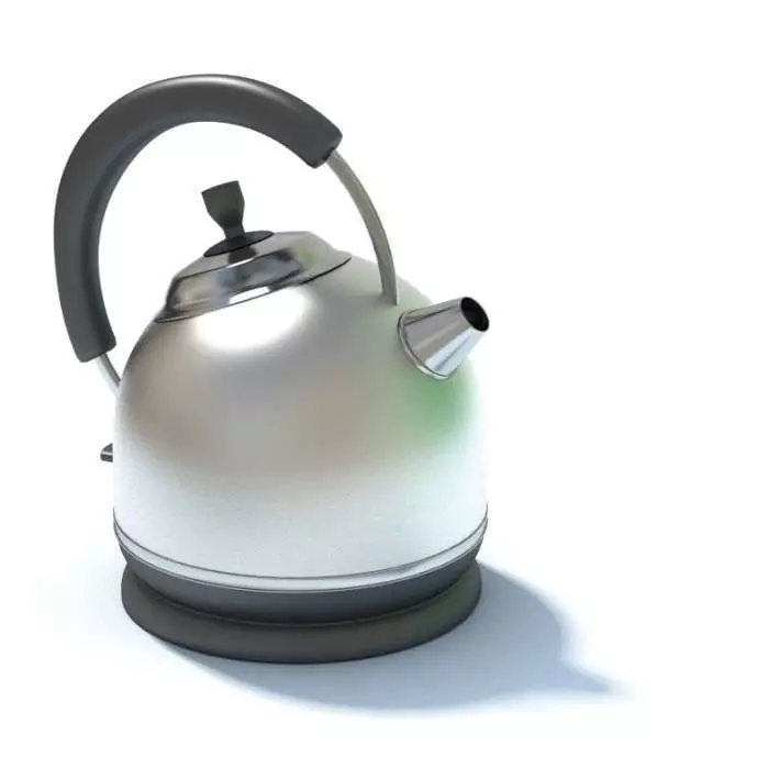 Stainless Steel Tea Kettle 3D model_0