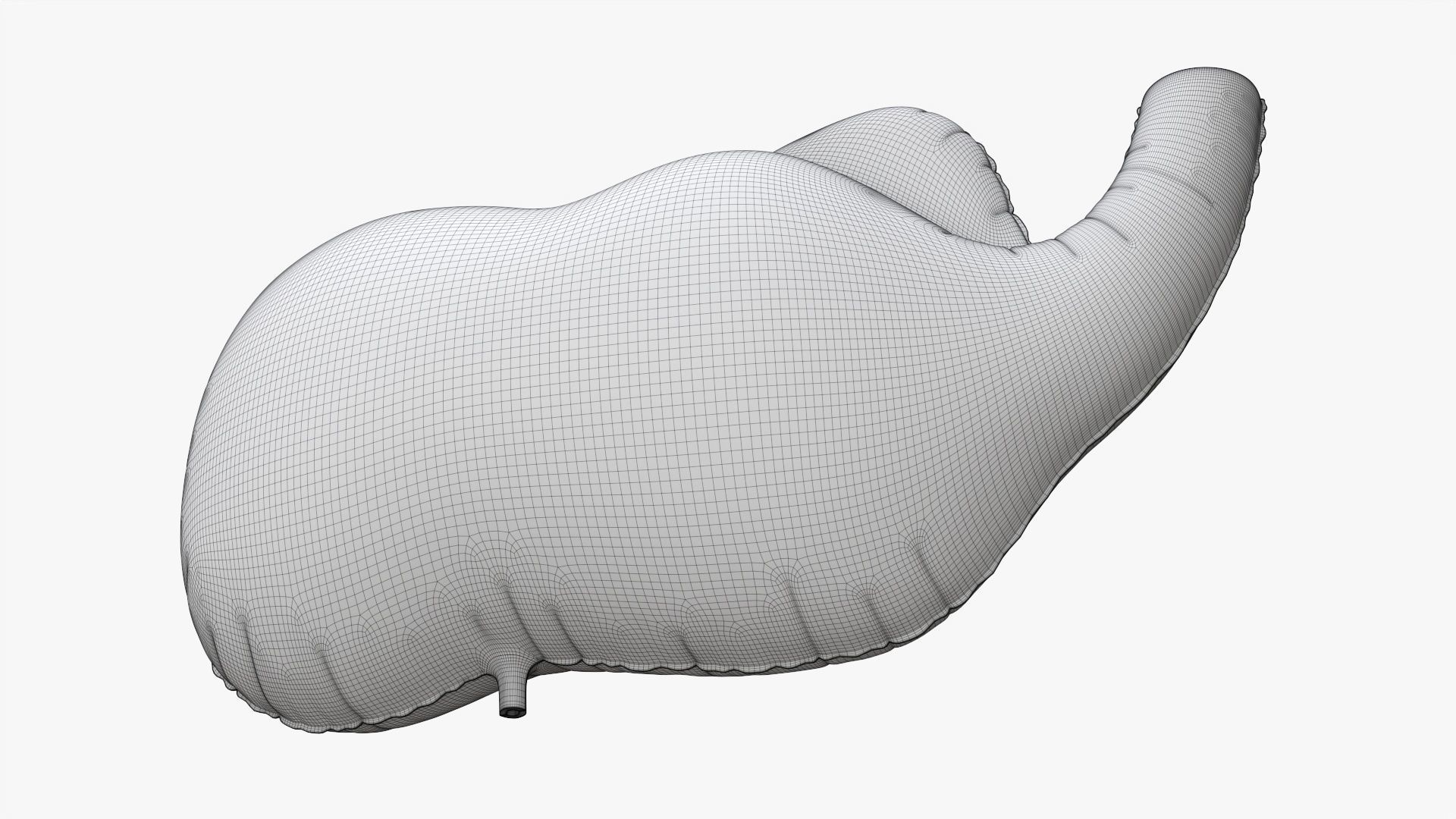 Foil decoration balloon 01 Elephant 3D model_8