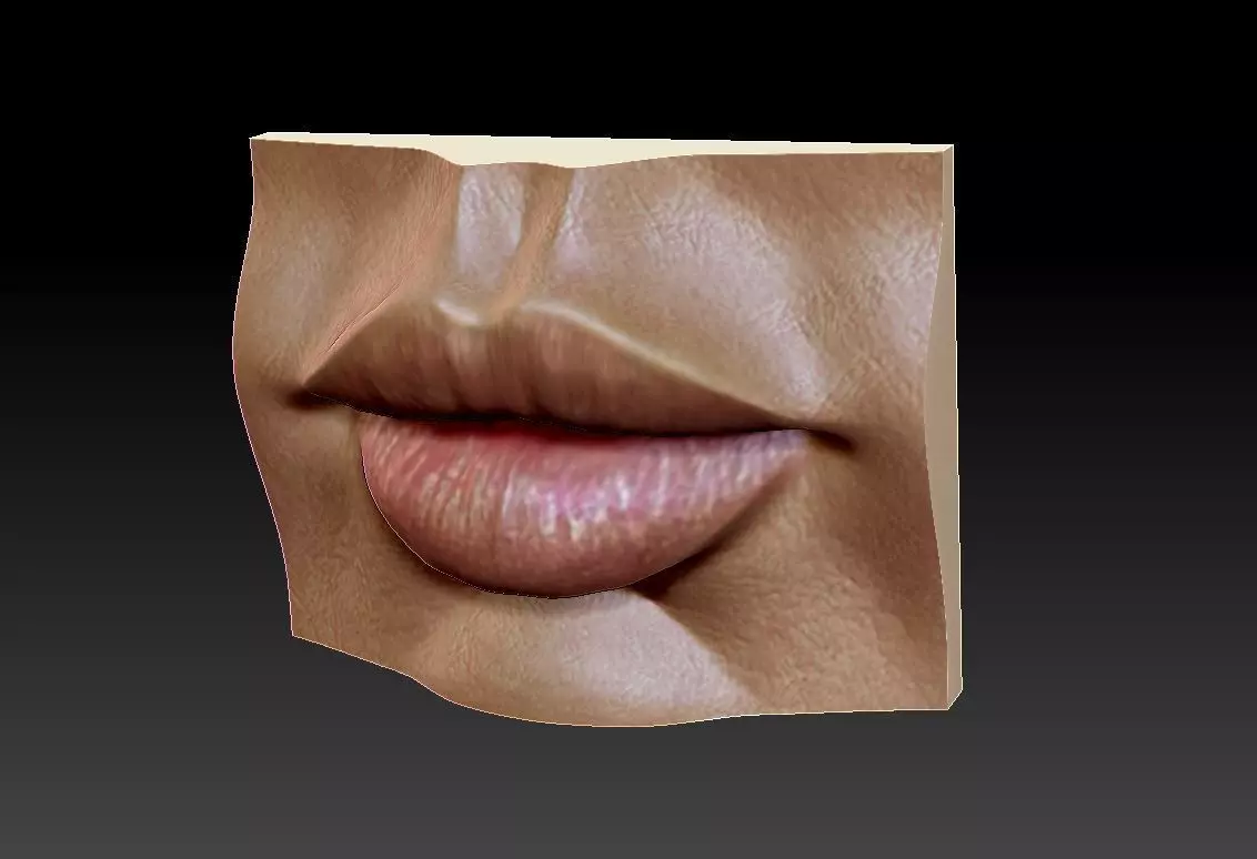 Lips mesh zbrush tool Free 3D print model