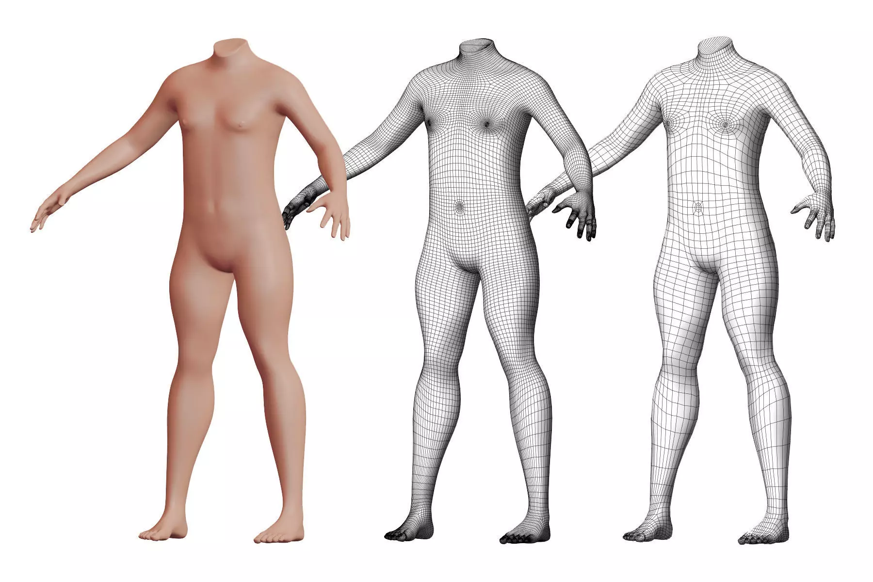 Character 17 High and Low-poly - Body male 3D model_0