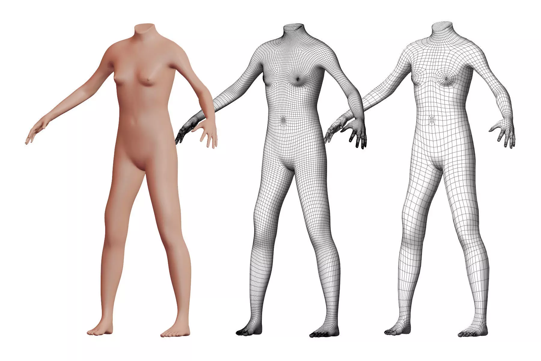 Character 20 High and Low-poly - Body Female 3D model_0