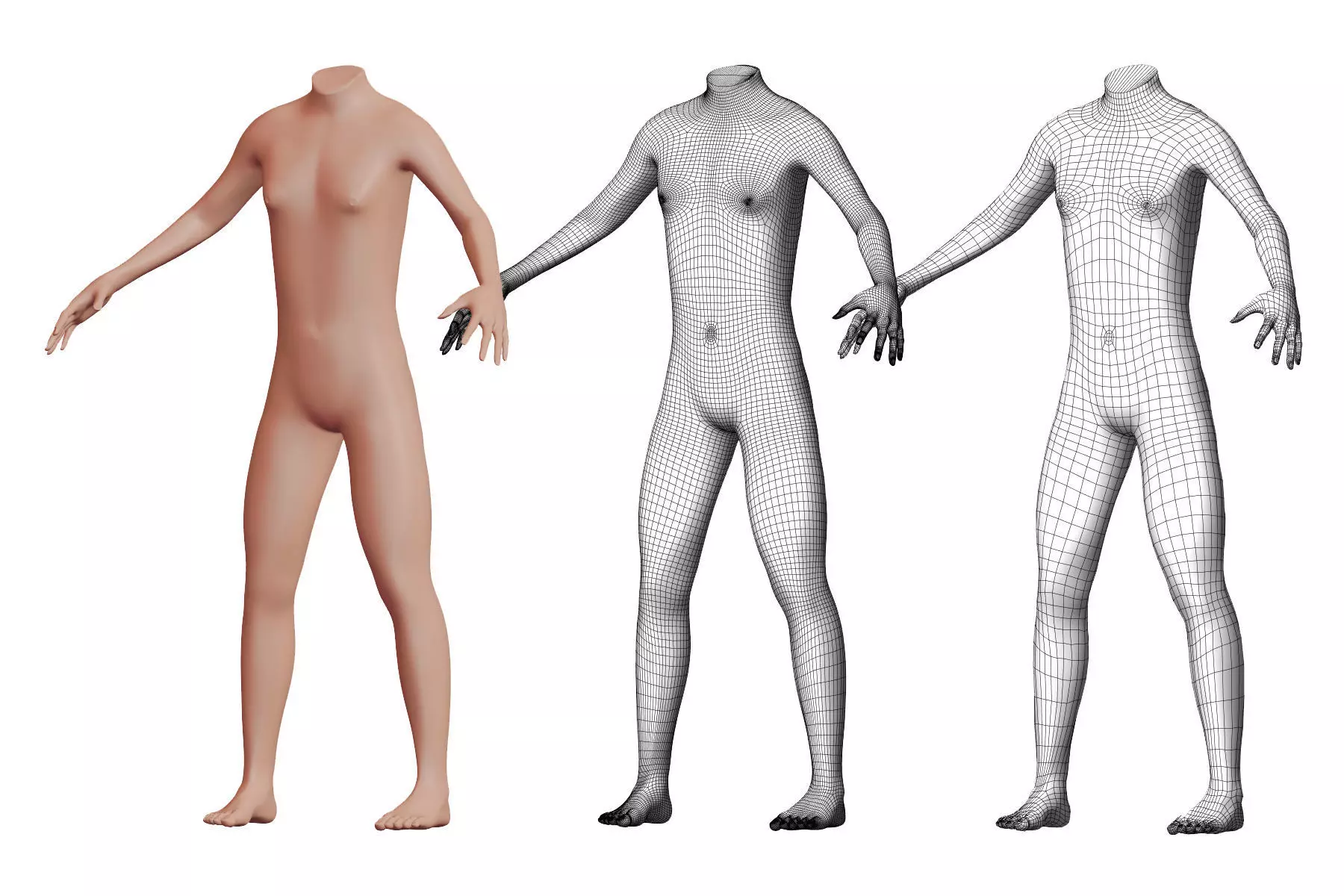 Character 21 High and Low-poly -  Body male 3D model_0