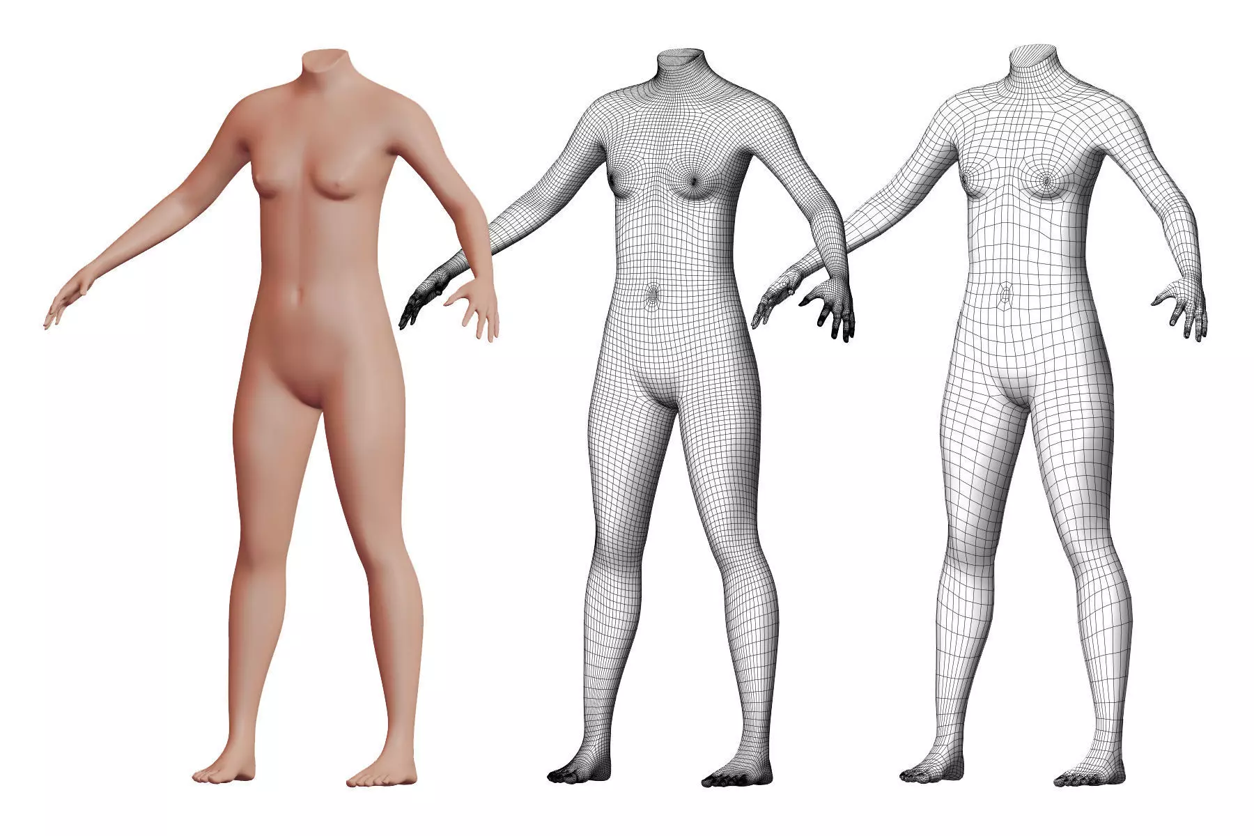 Character 22 High and Low-poly - Body Female 3D model_0