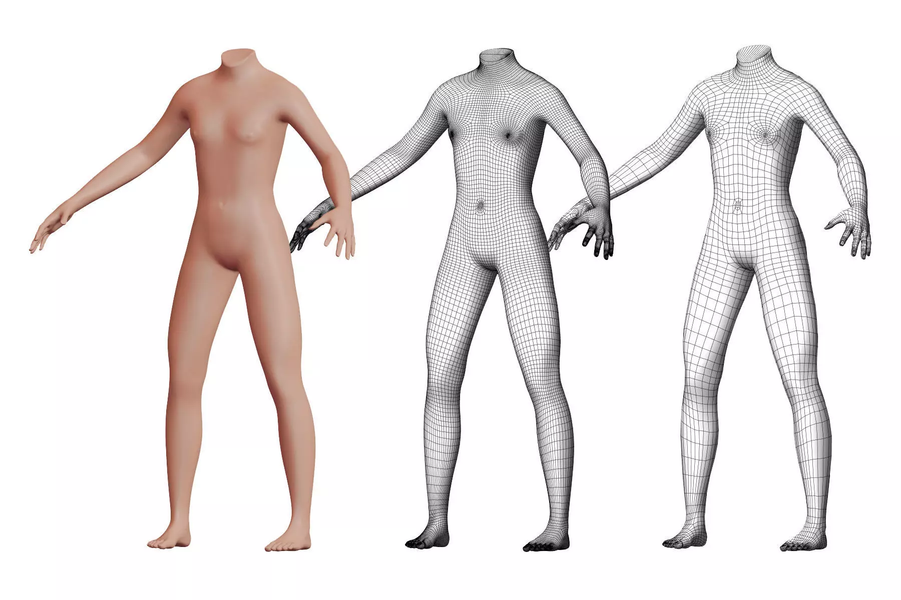 Character 23 High and Low-poly -  Body male 3D model_0
