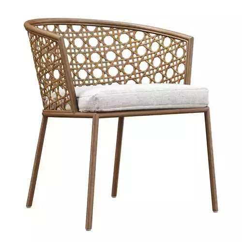 Rimma rattan dining chair 