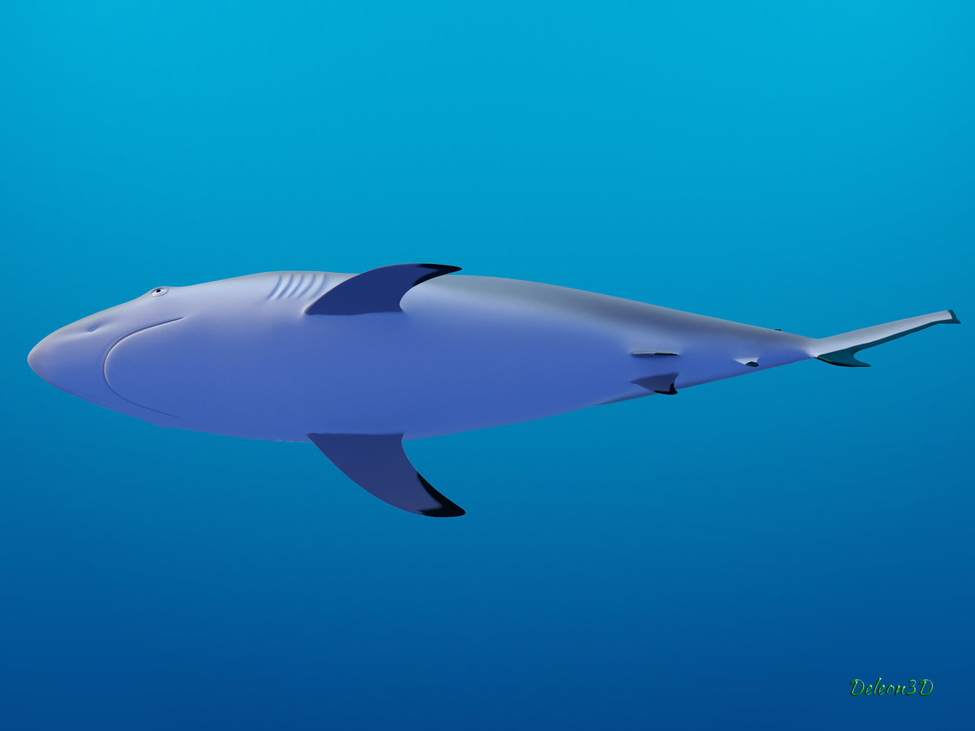 Blacktip Reef shark 3D model_6