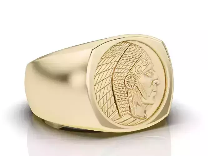Cushion Indian ring Silver Gold  Print