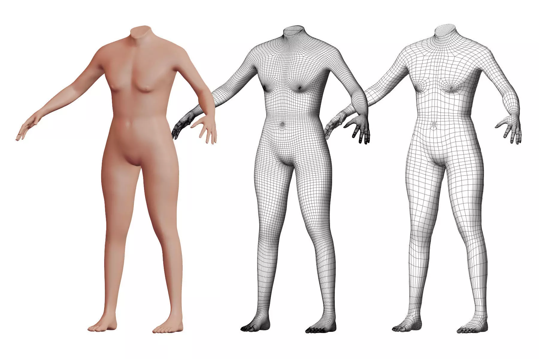 Character 27 High and Low-poly -  Body male 3D model_0