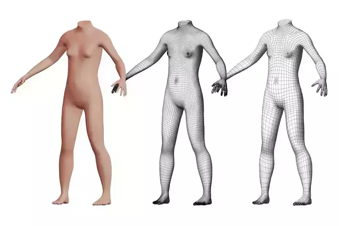 Character 31 High and Low-poly -  Body female