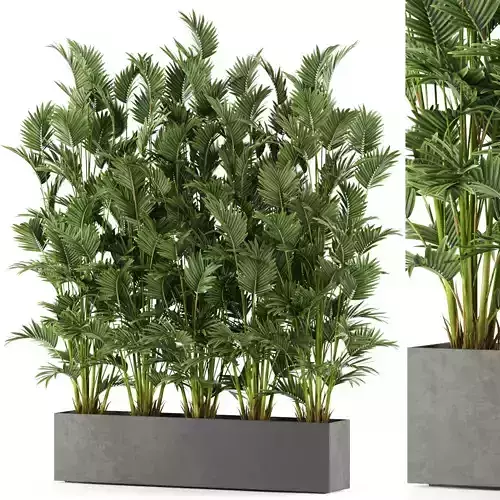 Plants collection 472 3D model