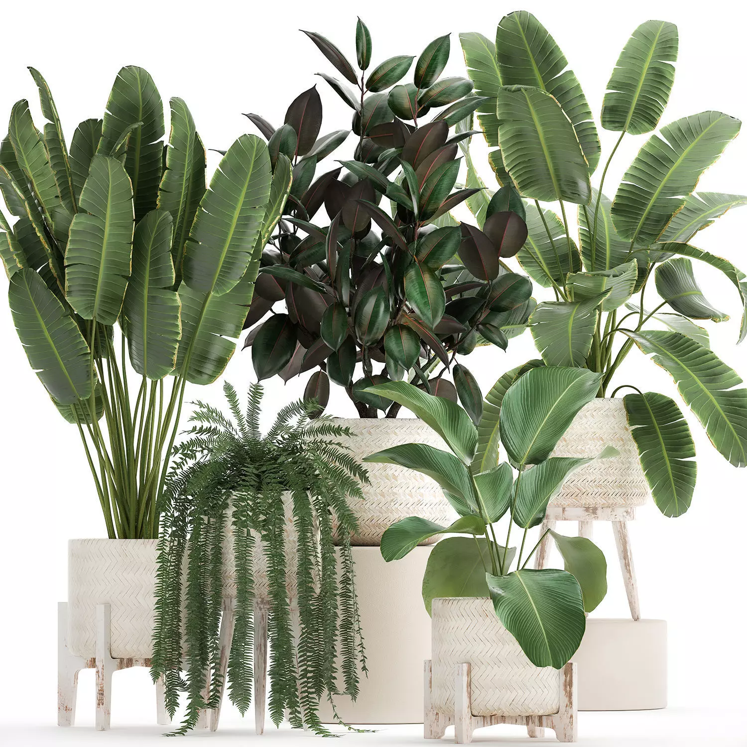 Houseplants in a white rattan basket for the interior 913 3D model