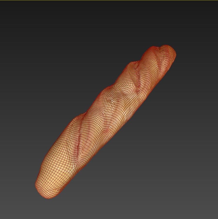 baguette 40cm 3D model_2