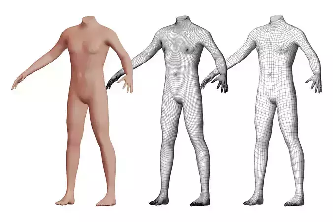 Character 33 High and Low-poly -  Body male 3D model
