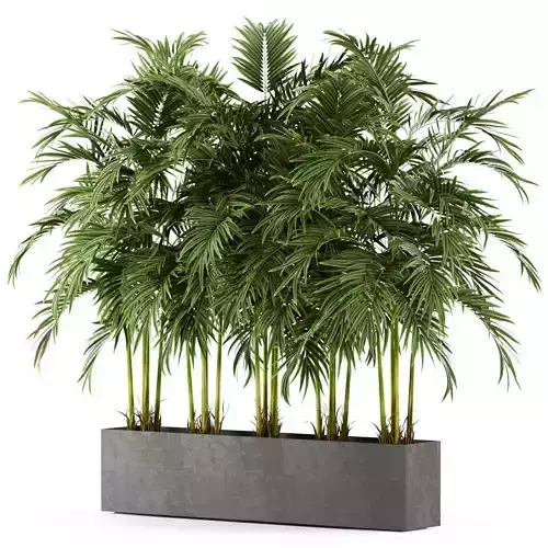 Plants collection 478 3D model