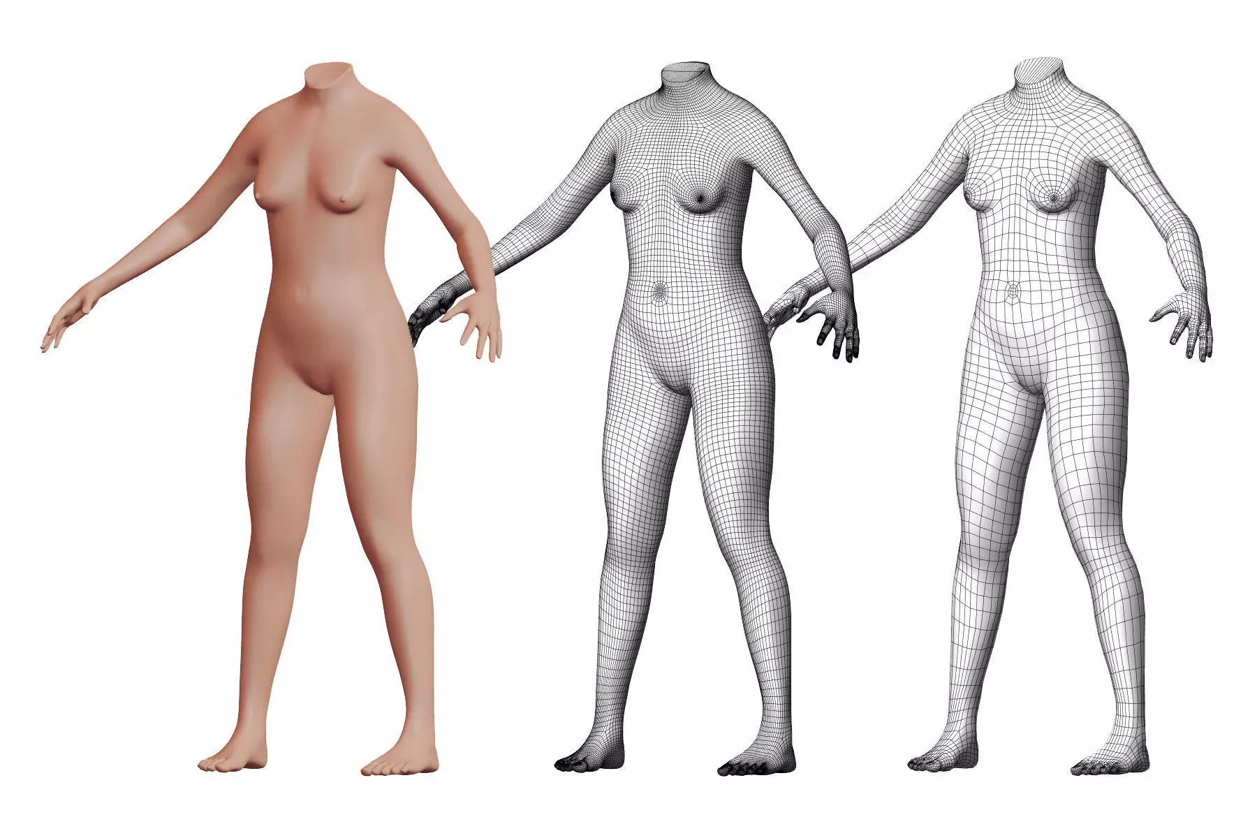 Character 34 High and Low-poly - Body female 3D model_0