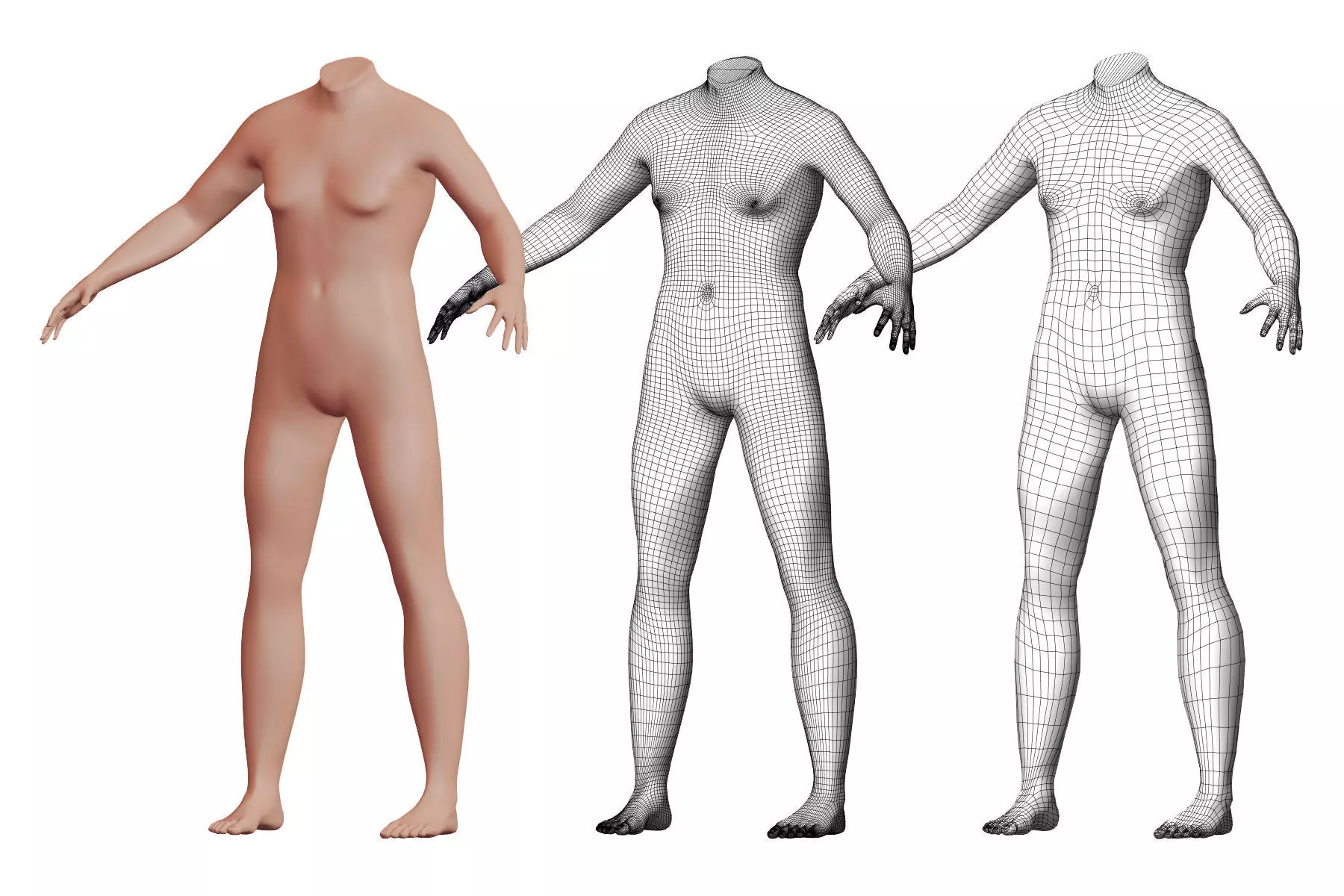 Character 35 High and Low-poly - Body male 3D model_0