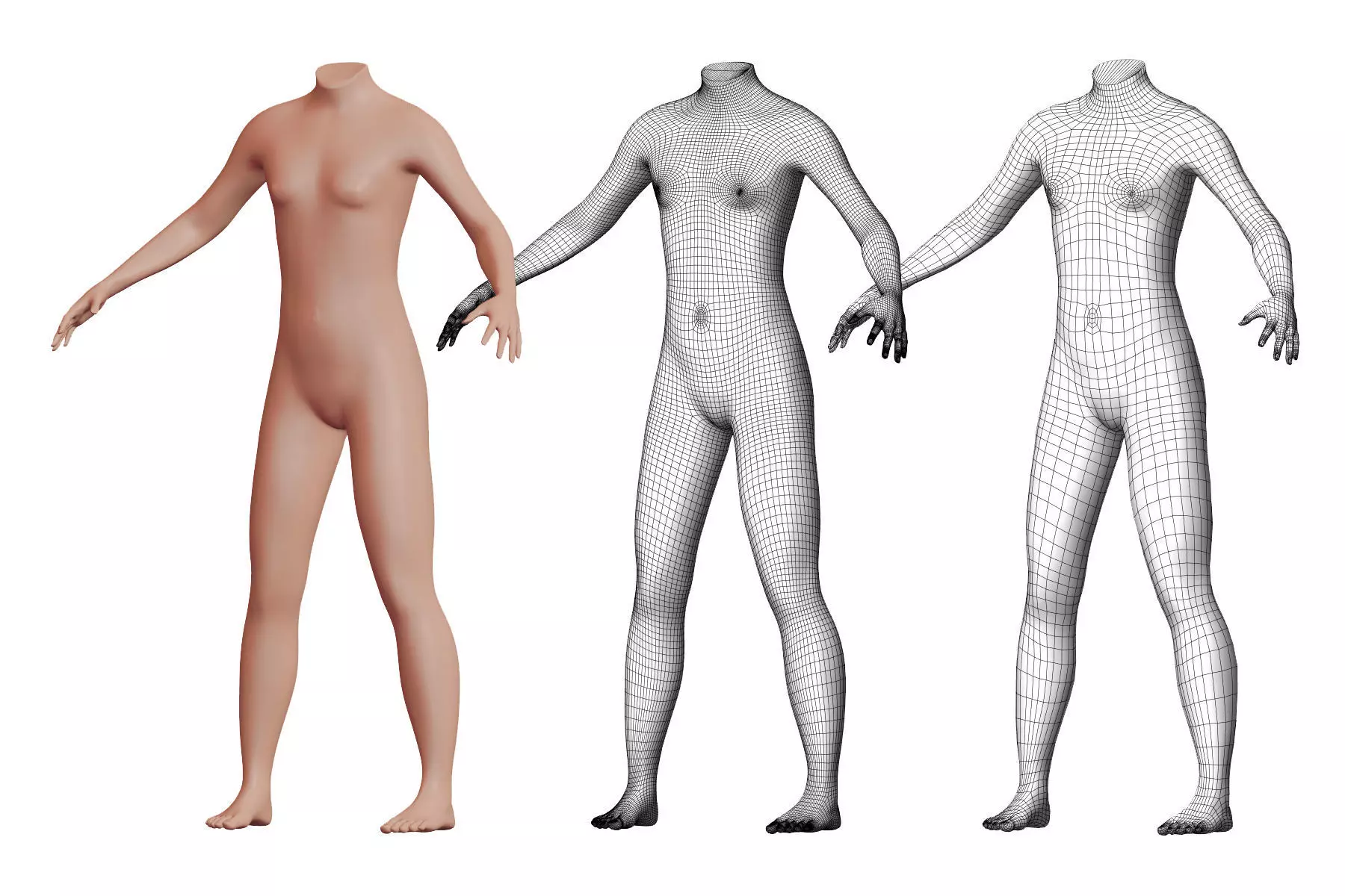 Character 36 High and Low-poly - Body male 3D model_0
