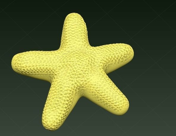 estrella de mar en modelado 3D 3D model_2