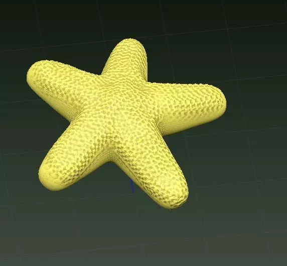 estrella de mar en modelado 3D 3D model_0