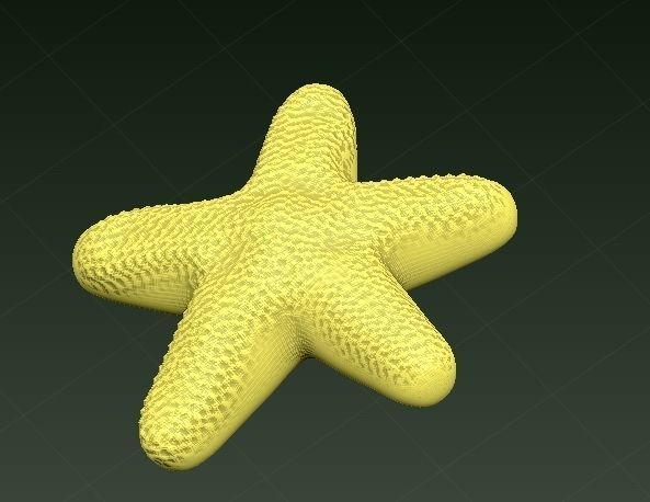 estrella de mar en modelado 3D 3D model_3