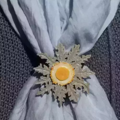 Scarf buckle triple ring with Eguzkilore and diameter 28mm  3D print model