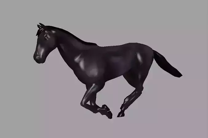 Horse Gallop Animation