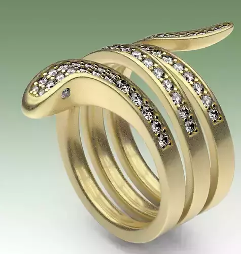 Ring Eden 3D print model