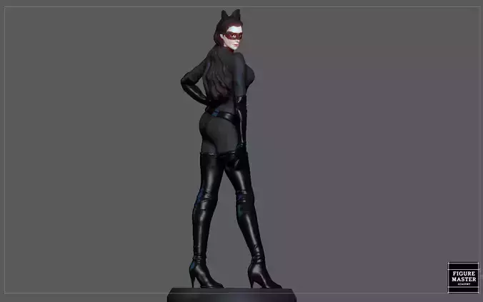 CATWOMAN SELINA KYLE BATMAN DARK NIGHT RISES DC GIRL CHARACTER 3D print model