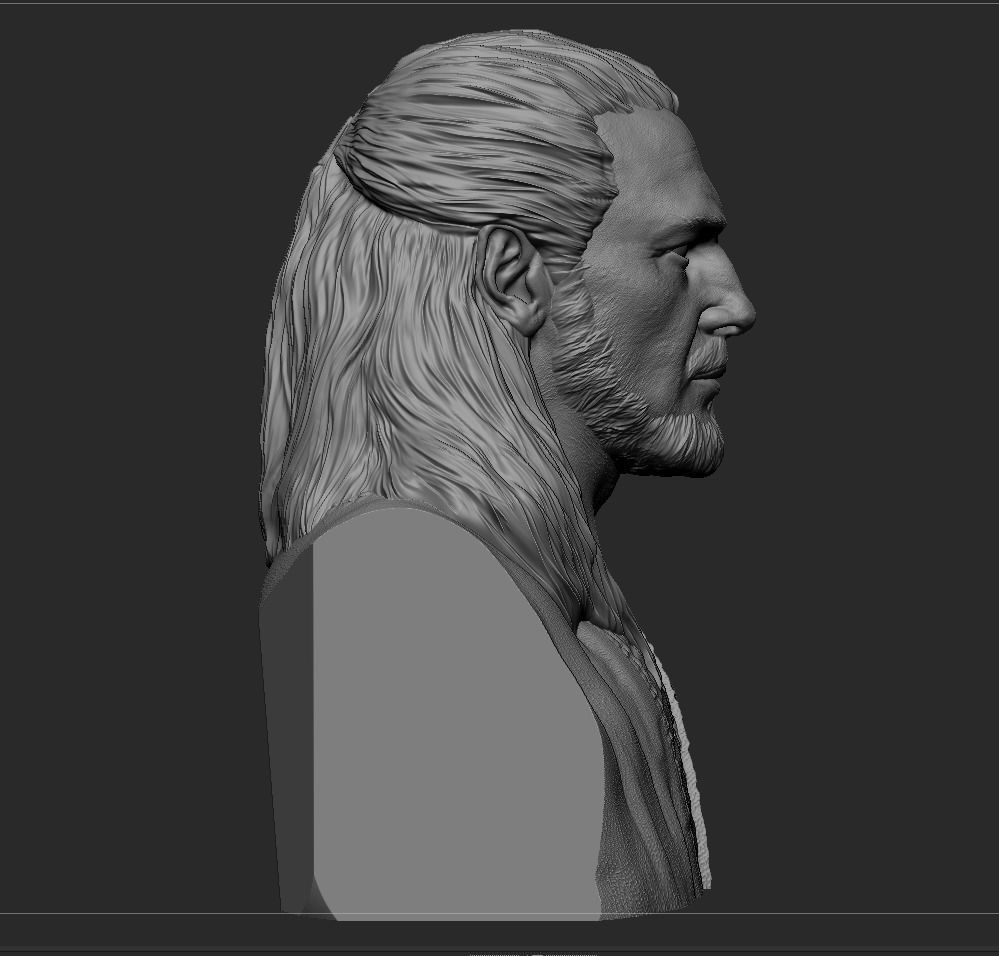 Qui-Gon Jinn Bust 3D print model_13