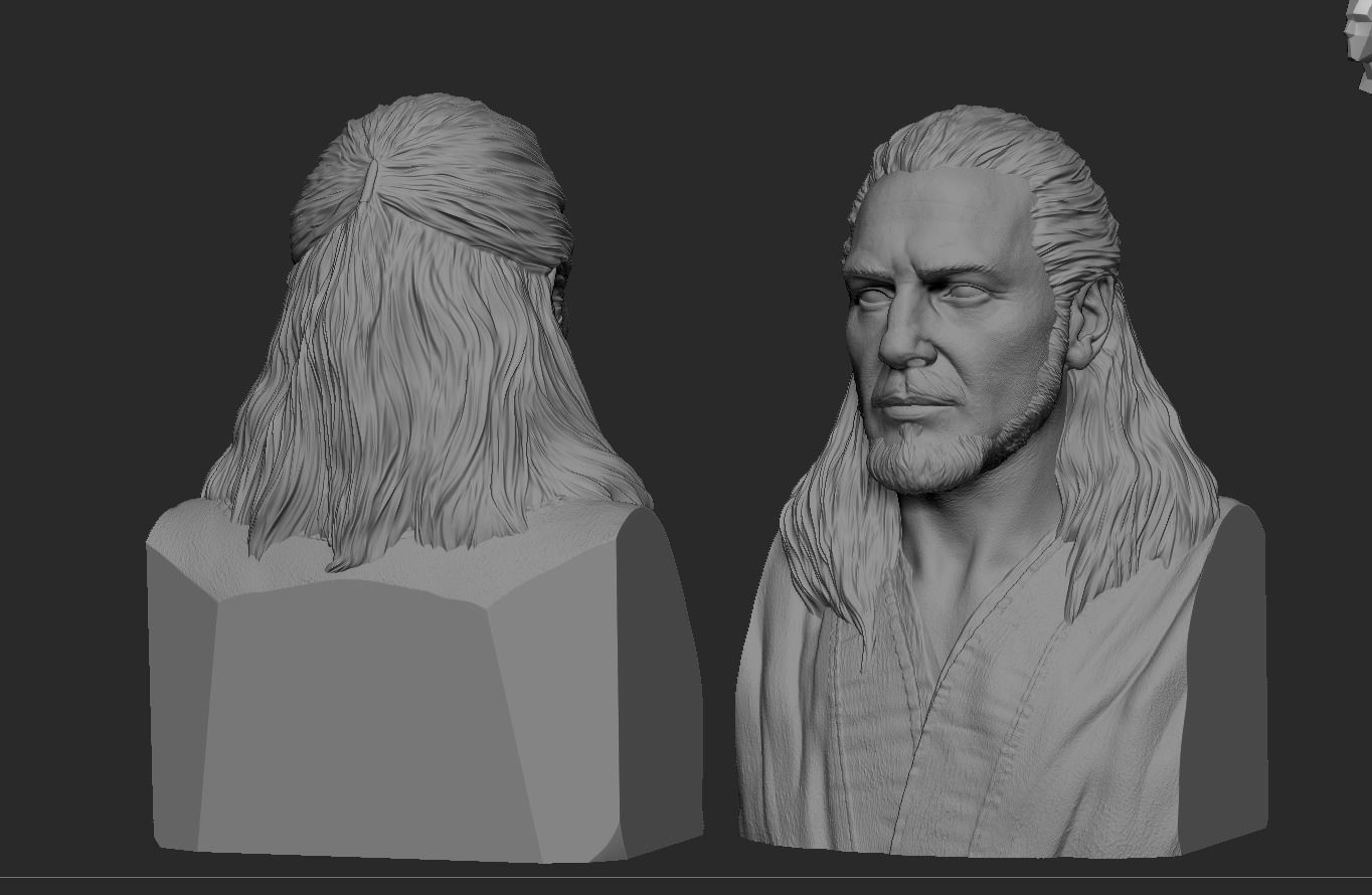 Qui-Gon Jinn Bust 3D print model_17