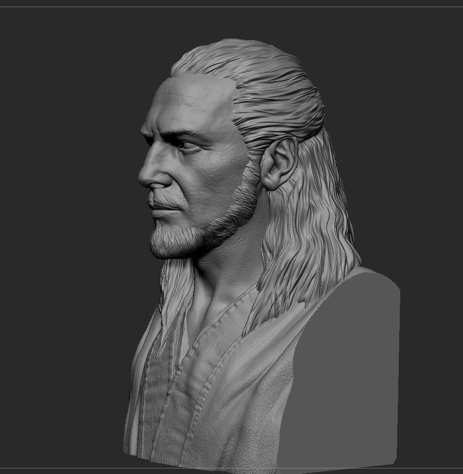 Qui-Gon Jinn Bust 3D print model_8