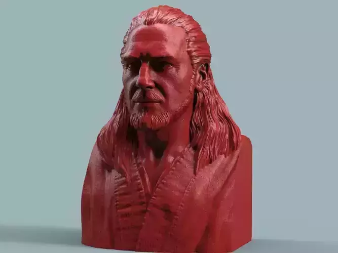 Qui-Gon Jinn Bust 3D print model