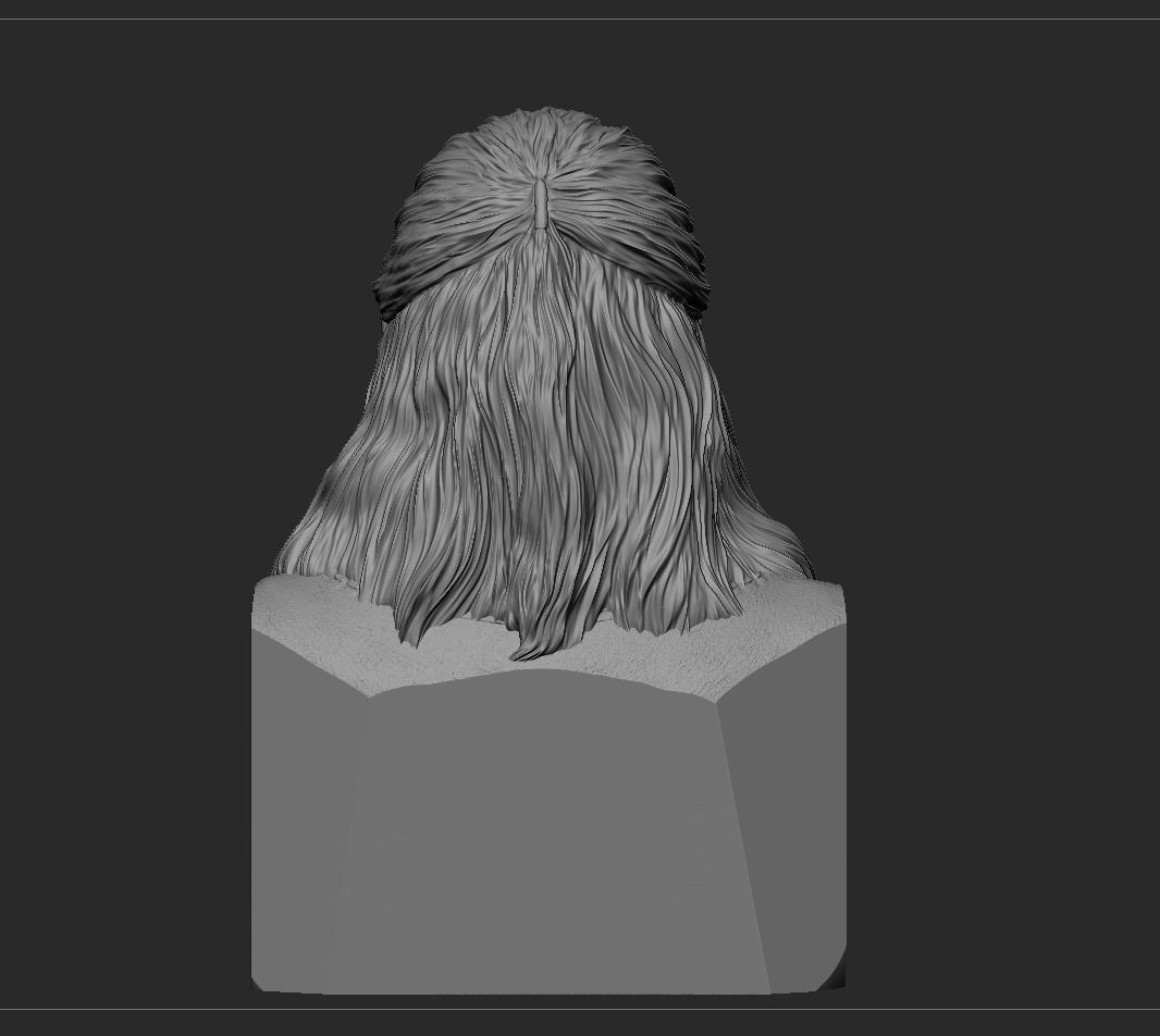 Qui-Gon Jinn Bust 3D print model_11
