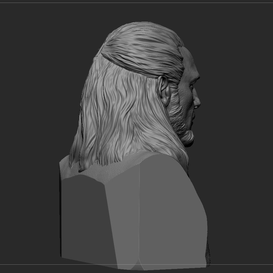 Qui-Gon Jinn Bust 3D print model_12