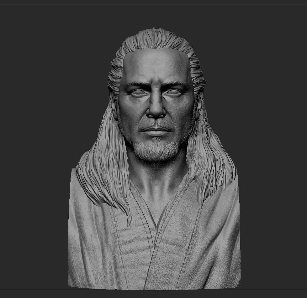 Qui-Gon Jinn Bust 3D print model_6