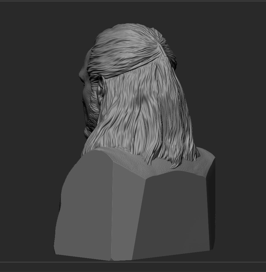 Qui-Gon Jinn Bust 3D print model_10