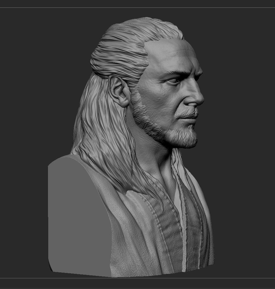 Qui-Gon Jinn Bust 3D print model_14