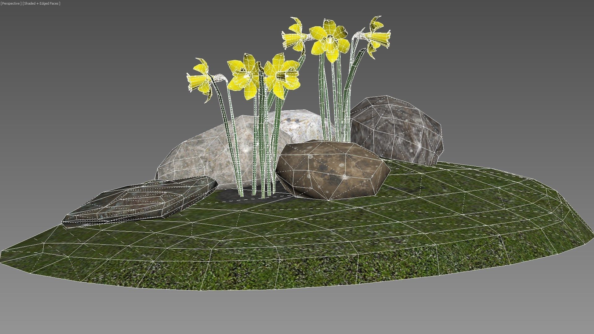 Yellow daffodils and stones Low-poly 3D model_4