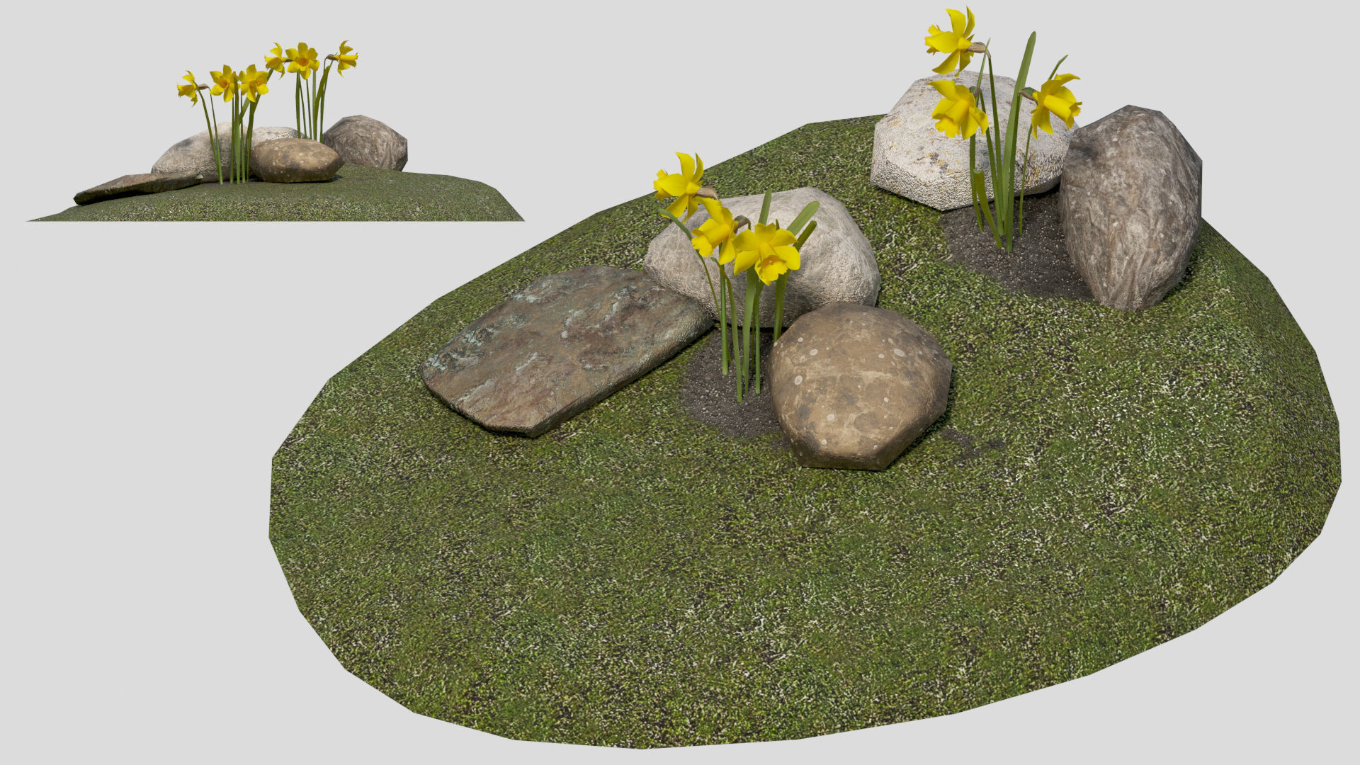 Yellow daffodils and stones Low-poly 3D model_2