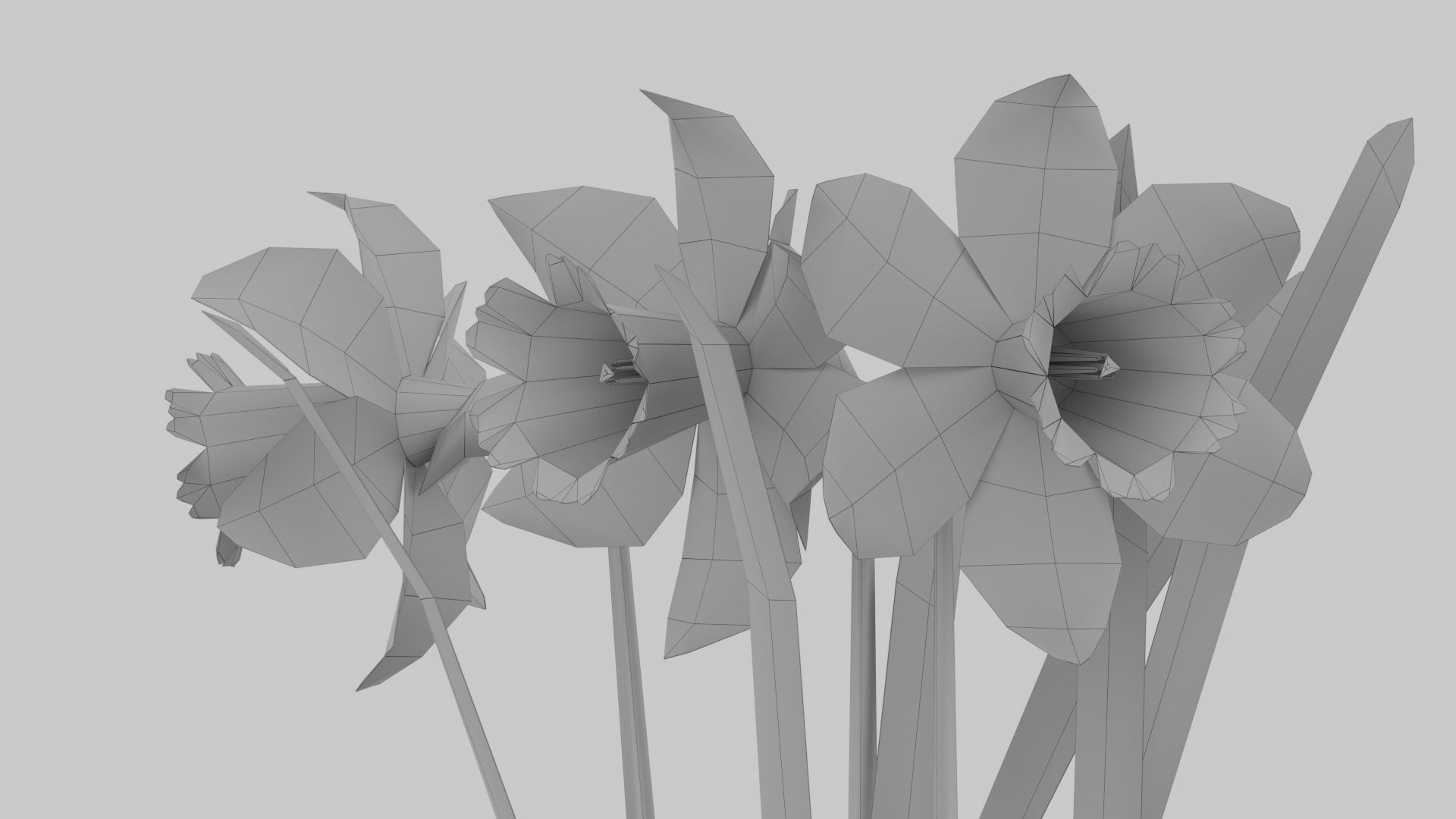 Yellow daffodils and stones Low-poly 3D model_11