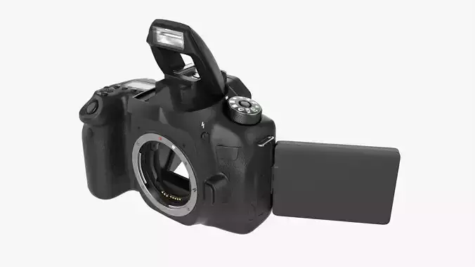 DSLR camera body open
