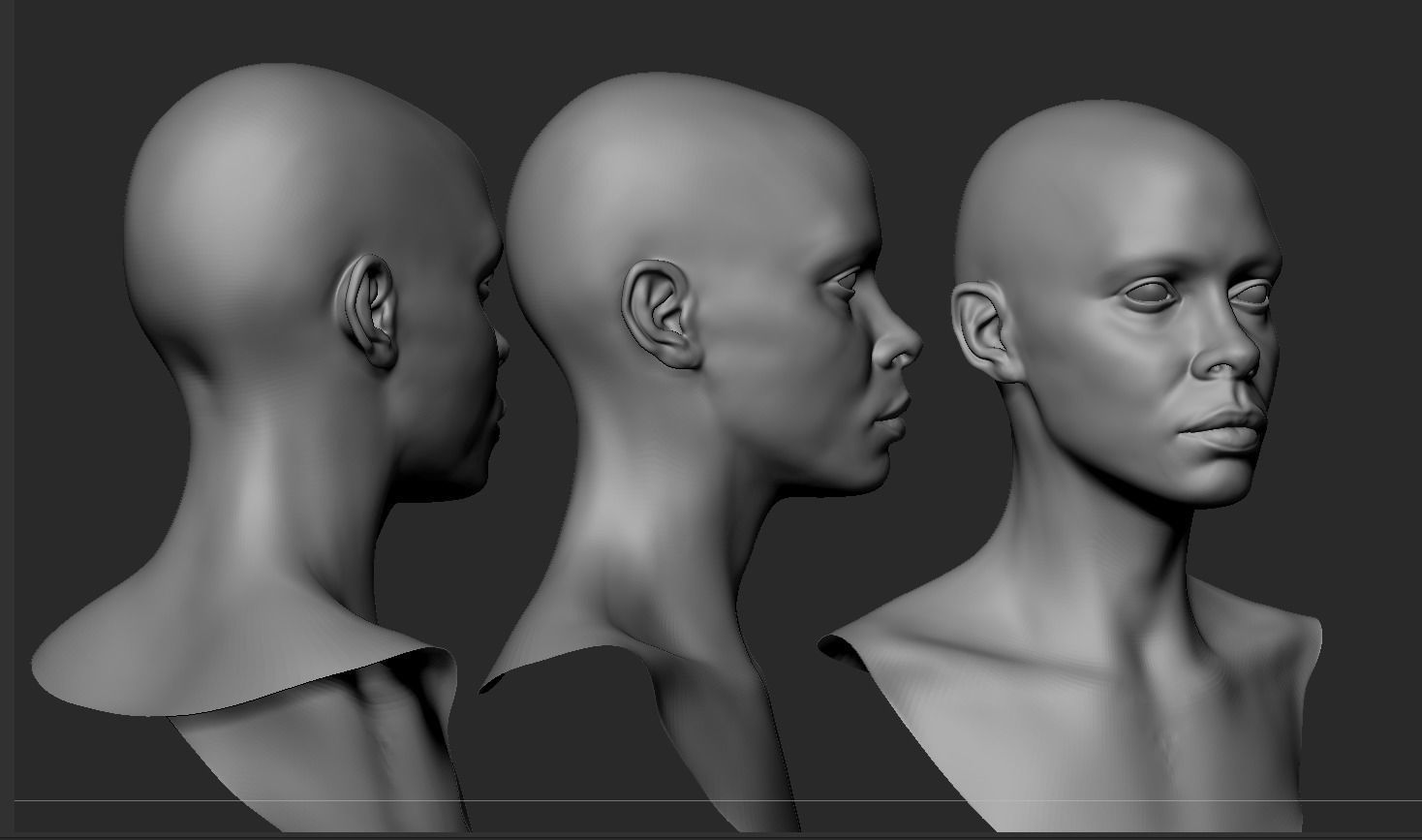 Black Female Head Anatomy- Basemesh 3D model_2