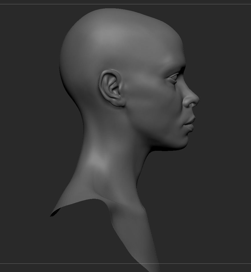 Black Female Head Anatomy- Basemesh 3D model_10