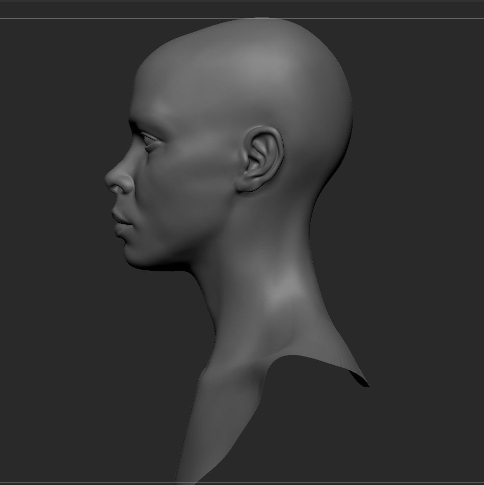 Black Female Head Anatomy- Basemesh 3D model_6