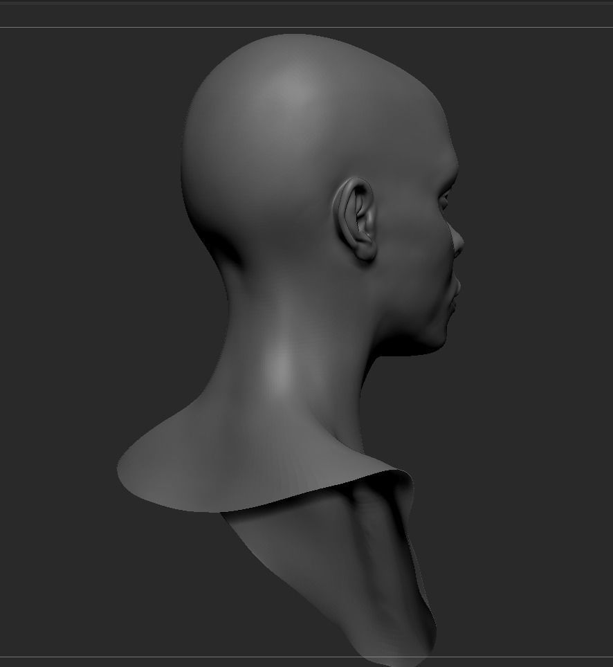 Black Female Head Anatomy- Basemesh 3D model_9