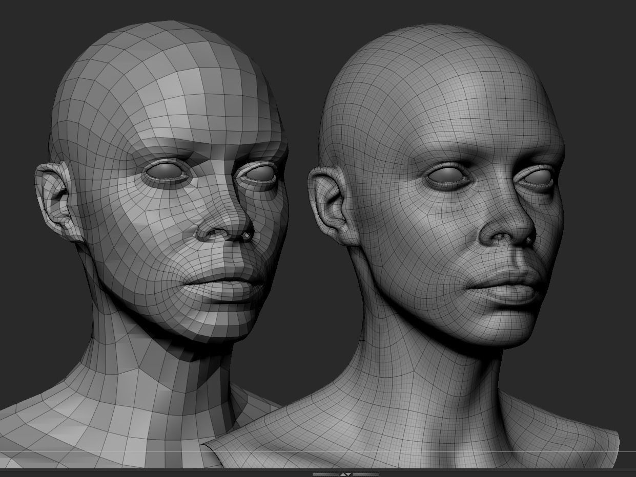 Black Female Head Anatomy- Basemesh 3D model_14