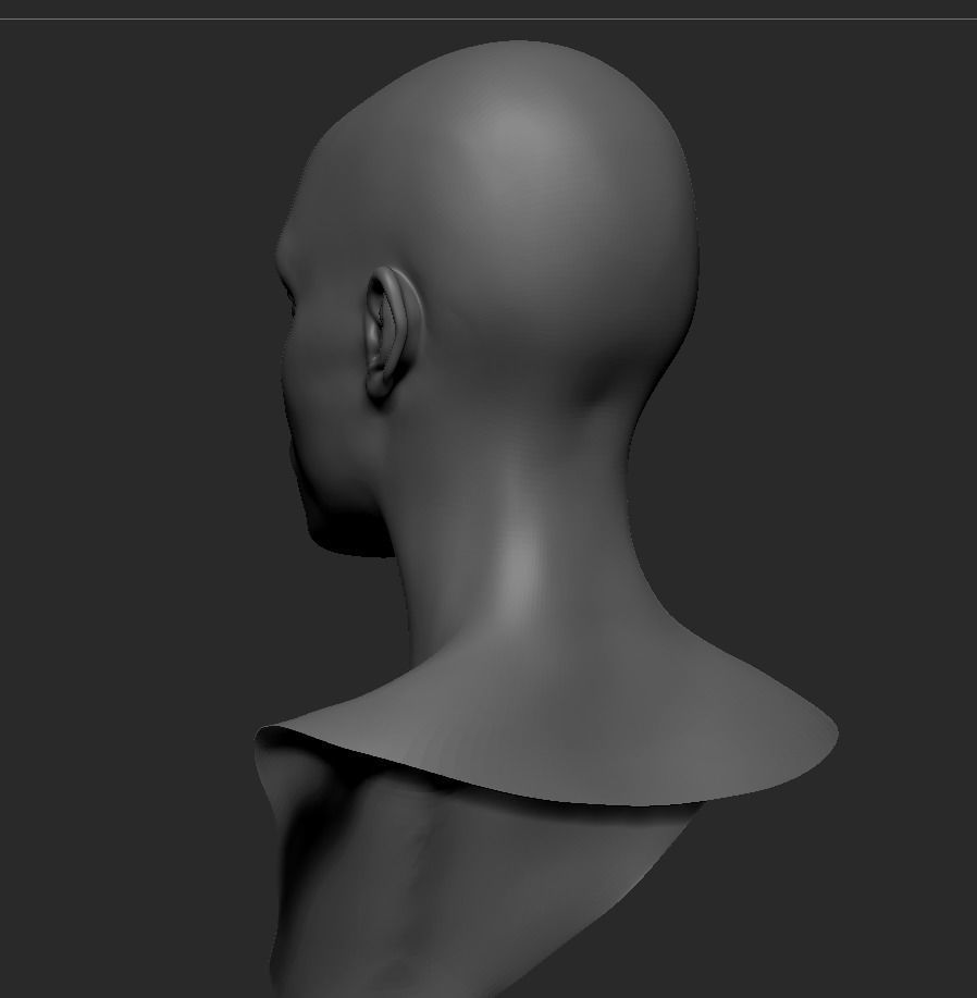 Black Female Head Anatomy- Basemesh 3D model_7